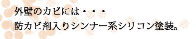 防かび剤入りシンナー系シリコン塗装仕上げ