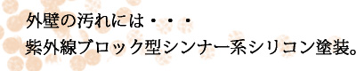 紫外線ブロック型シンナー系シリコン塗装仕上げ