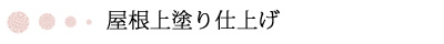 屋根上塗り仕上げ